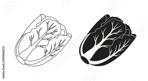 A simple black and white illustration depicts two heads of napa cabbage emphasizing their textured leaf structures and form high quality