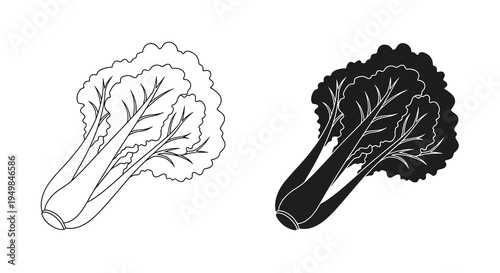 A detailed black and white line drawing showcases two depictions of bok choy one light and one dark side by side high quality