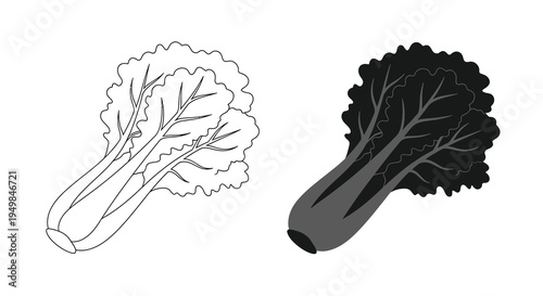 A black and white illustration depicts two bok choy plants one light and one dark showcasing tonal variation high quality professional