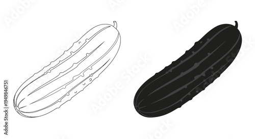 A contrasting depiction of two cucumbers one rendered in outline and the other fully shaded in black high quality