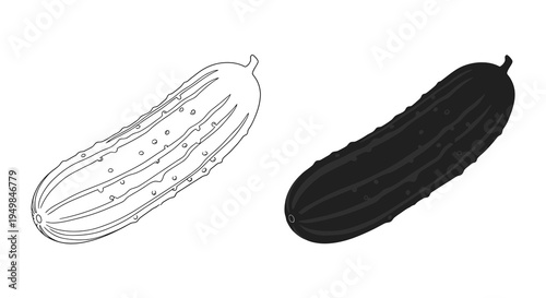 A contrasting depiction of a cucumber is shown one in a line drawing and the other fully shaded in black