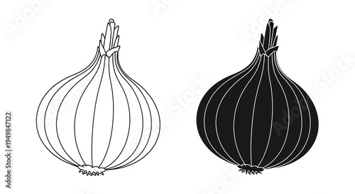 A simple black and white illustration depicts two onions one with striped shading and the other fully darkened high quality professional