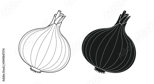 A contrasting pair of onion illustrations one depicted with white space and the other with solid black shading
