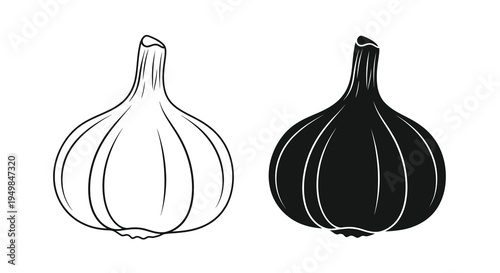 A contrasting depiction of garlic bulbs one light one dark presented as simple graphic illustrations high quality professional detailed