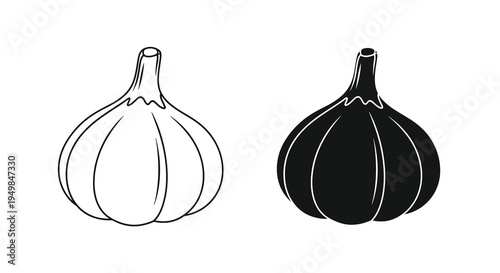 A minimalist black and white illustration depicts two heads of garlic showcasing contrasting tonal qualities and simple forms high quality professional