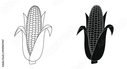 A black and white illustration depicts two ears of corn showcasing their kernels and leafy husks in detail