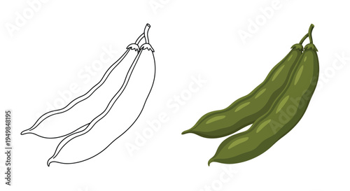 A visual comparison showcases green beans one presented as a detailed color illustration and the other as a simple line drawing