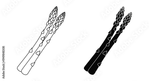 A minimalist depiction of two asparagus stalks rendered in a black and white line drawing style presented side by side high quality professional