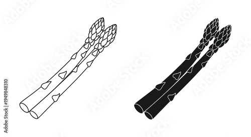 A detailed black and white line drawing depicts two bundles of asparagus stalks showcasing their slender shape and textured surface