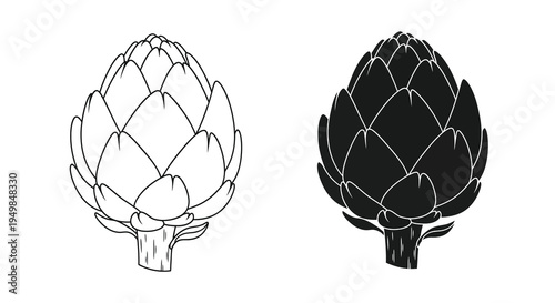 A detailed black and white illustration showcases two artichoke heads one light and one dark side by side high quality professional modern elegant