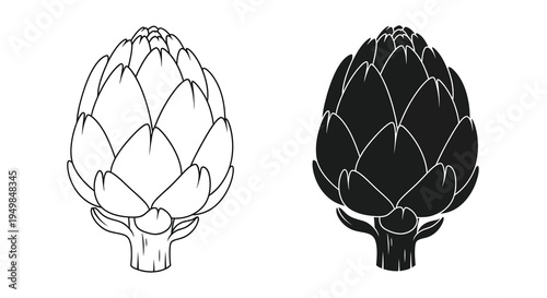 A detailed black and white illustration showcases two artichoke heads one with white fill and the other solid black side by side