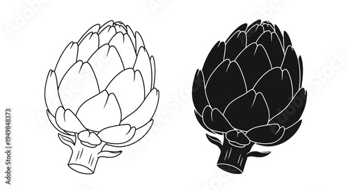 A detailed black and white illustration depicts two artichokes one light and one dark showcasing their textured layered forms high quality