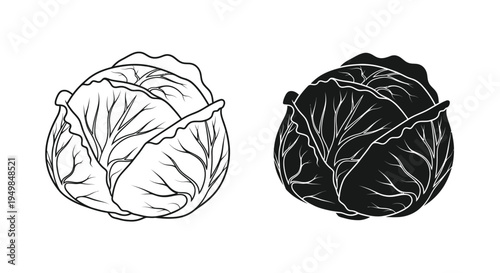 A detailed black and white illustration showcases two heads of cabbage differing in shading and texture high quality professional
