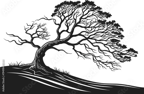 Lone Tree on Hill Silhouette with Dramatic Roots and Branches in Windy Landscape – Minimalist Black Ink Nature Vector Illustration