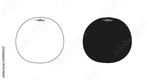 A simple black and white illustration depicts two oranges one brightly lit and the other in complete darkness high quality professional