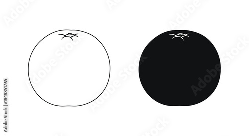 A minimalist black and white illustration depicts two oranges one light and one dark showcasing contrast and simple forms high quality