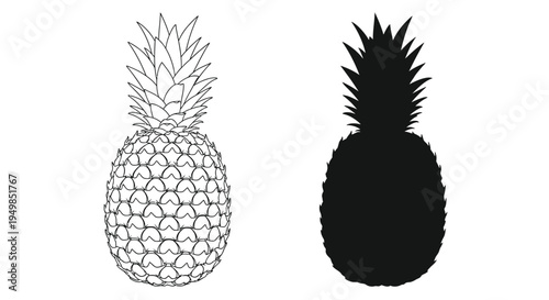 A striking black and white illustration showcases two pineapple depictions one with detailed line work and the other as a solid silhouette