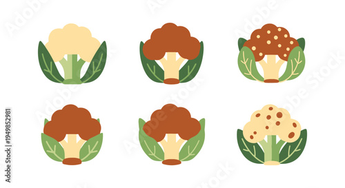 Cauliflower Roast Line art flat abstract colorful illustration