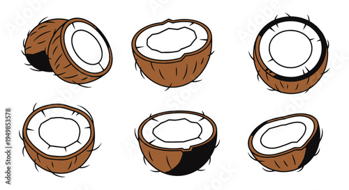 Coconut Half Line art vector modern pastel abstract color