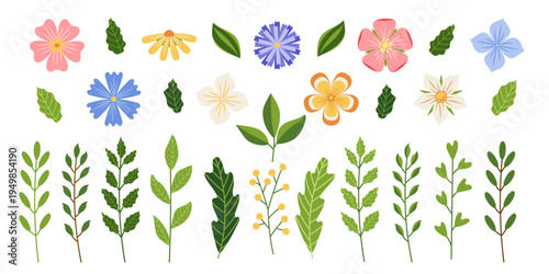 Collection of spring retro flower elements. Botanical art of wildflower, leaf branch, foliage isolated on white background. Hand drawn blossom vector illustration for wedding, easter, birthday design.