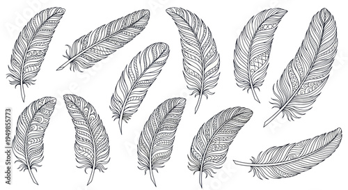 Hand-drawn feather illustrations, black and white sketch, vintage style, isolated on white