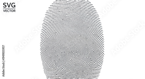 Close-up of black fingerprint pattern on white background, security concept