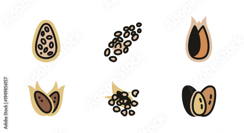 Chia Seed Line art vector set soft abstract modern illustration