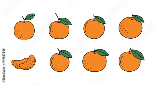 Clementine Line art vector vibrant abstract color