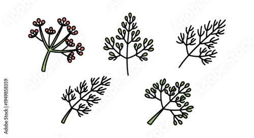 Dill Line art vector set creative pastel abstract color illustration