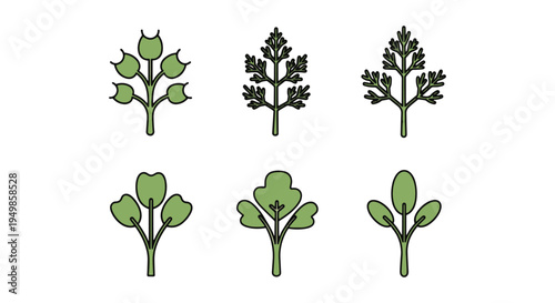 Dill Microgreen Line art modern abstract color vector design