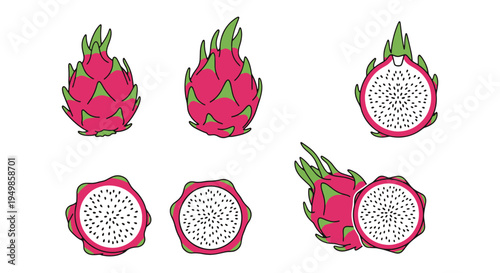 Dragon Fruit Line art vector dynamic vibrant abstract color
