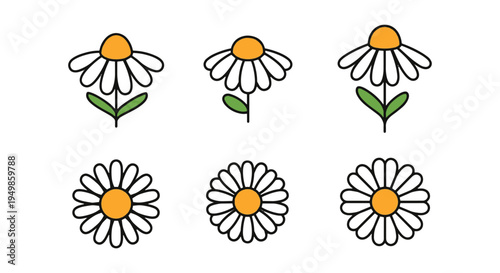 Chamomile Flowers Line art clean minimal abstract tone vector
