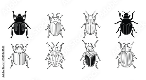Collection of black and white beetle illustrations in various styles