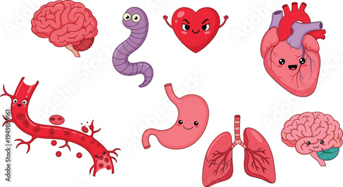 Cute human organs cartoon set with brain, heart, stomach, lungs, blood vessel and worm character educational anatomy illustration