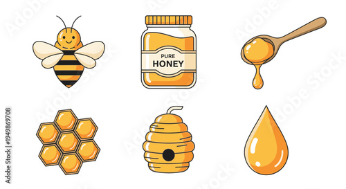 Honey bee and honeycomb illustrations 2.