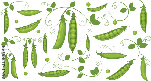 Green pea plant pattern illustration. Pea pods, seeds, leaves and vines arranged decoratively. Fresh organic vegetable design for gardening themes, healthy food graphics, and farm produce backgrounds.