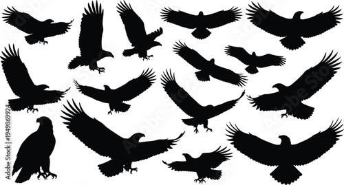 Flying eagle silhouettes set, majestic birds of prey in different poses, raptor silhouettes isolated for wildlife design vector