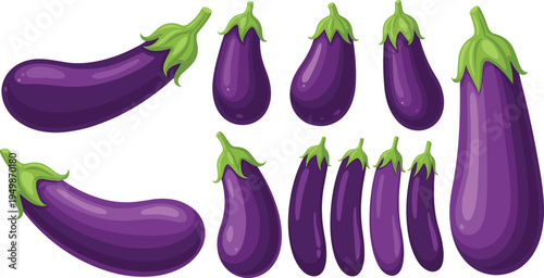 Eggplant vegetable varieties illustration set. Purple aubergines in different shapes and sizes isolated. Fresh organic vegetables for cooking ingredients, healthy food graphics.