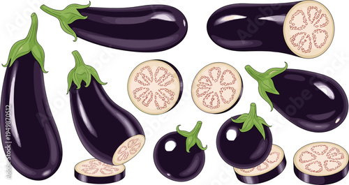Eggplant vegetable illustration collection. Whole aubergines and sliced eggplant pieces isolated. Fresh organic vegetable graphics for cooking ingredients, healthy food design farm produce concepts.