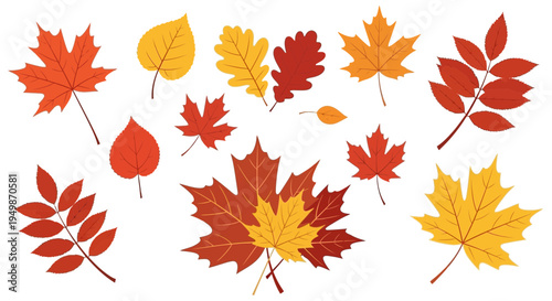 Autumn Leaves Collection: Maple, Oak, and Rowan - Fall Colors