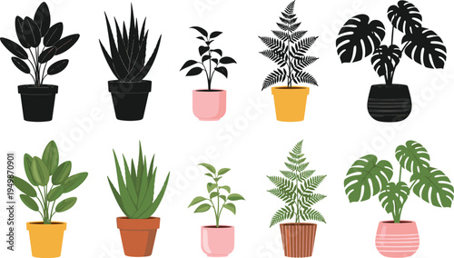 houseplant collection vector illustration, indoor potted plants set with monstera aloe fern decorative home plants bundle