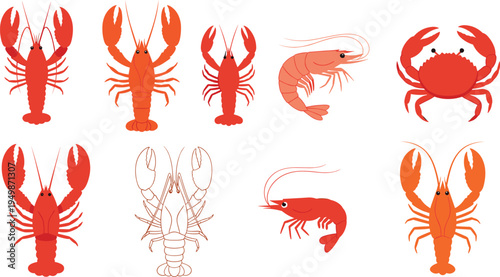 Seafood crustacean vector collection. Lobster, crab and shrimp illustrations in flat and outline styles. Marine ocean animals for restaurant menu, seafood packaging and nautical design.