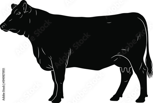 Black silhouette of a dairy cow standing in profile isolated on white background for farm animal livestock and agriculture design