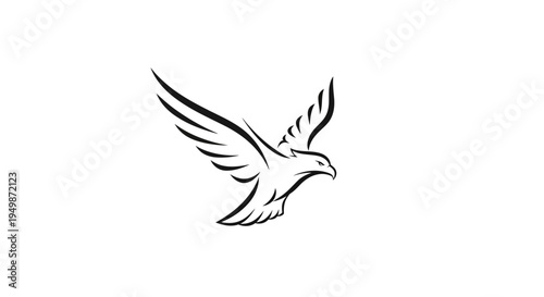 Flying Eagle Bird in Motion Profile.