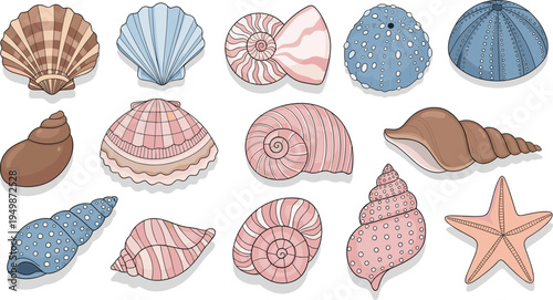 Seashell and starfish vector collection. Colorful ocean shell illustrations with coastal marine elements. Beach themed set for summer and nautical design.