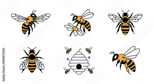 Bees and a beehive illustration set.