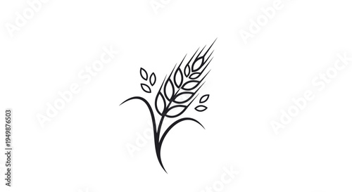 Wheat plant with leaves and stem.