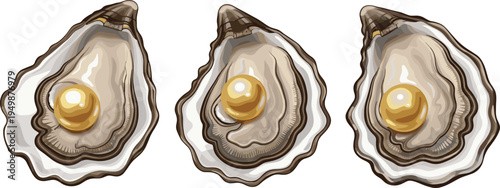 Oyster shells with golden pearl. Realistic marine seafood illustration set. Ocean treasure and luxury pearl concept for coastal and nautical design.