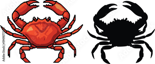 Red crab vector with silhouette. Marine crustacean illustration and black crab shadow. Ocean animal graphic for seafood, nautical and beach design.