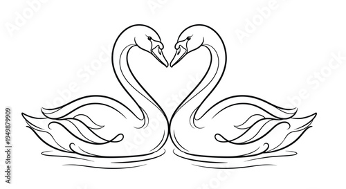 Two swans forming a heart shape with their necks in a line drawing